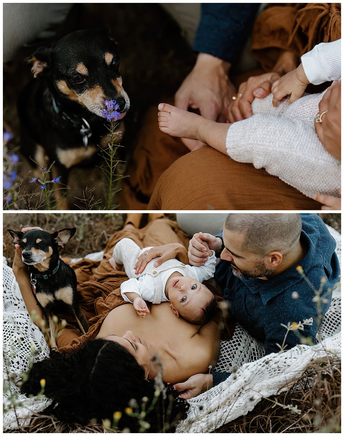 Family sits down together with son and dog for Lifestyle Family Photos 